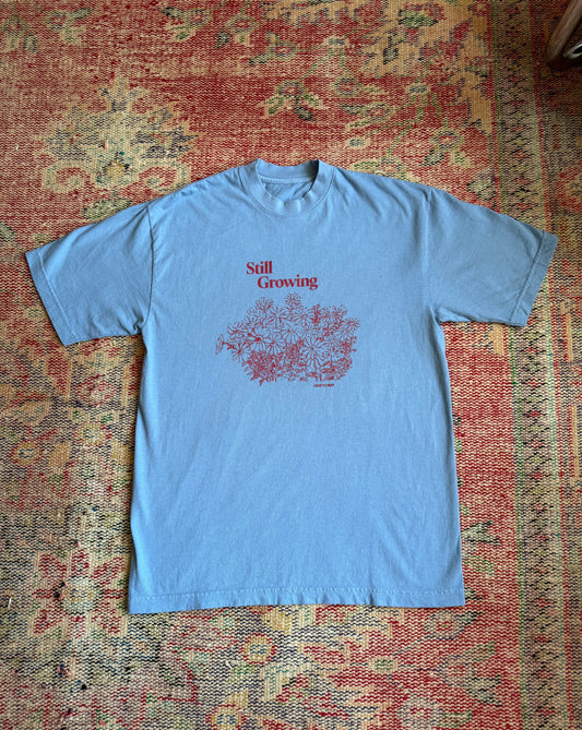 *Perfectly Imperfect* Still Growing Tee